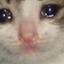 | LeaNaX