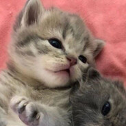 бля это пиздeц