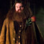 Rubeus Hagrid