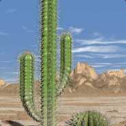 Cactus