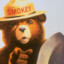 ONLY YOU can prevent forestfires