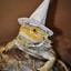 Lizard Wizard