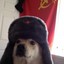 comrade Dog