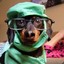 Dr. Babooty