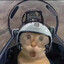 zzst