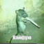 复仇者