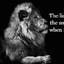 the lion..