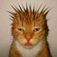 为啥不给枪看看片