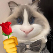 空枪小子徐凤年