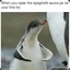 Pinguinu Spatial