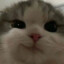 ADDUKEN-