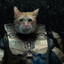 Meowster Chief