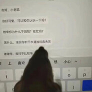 万能鼠鼠驯养指南