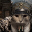 Captain Whiskers
