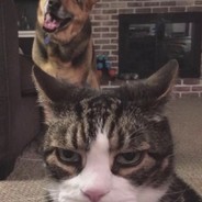 磨刀霍霍向爹娘