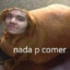 GORDO CACHORRO