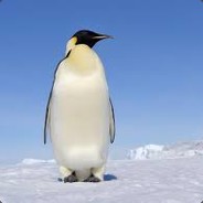 penguin - steam id 76561198160276595