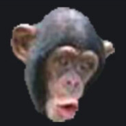 Pog Chimp