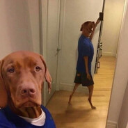 SloDestiny