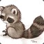 Raccoon_Paws