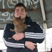 pokrovitelq na kotki