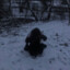 обезьяна