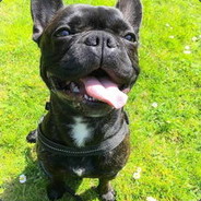 我把你妈往河头抽