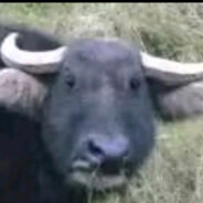 口球肛塞炮机乳夹