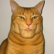 КУРОЩУП (prime)