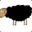 Sheep_on_Shalf