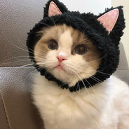 лютыйкотик#BUMMERRUST