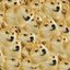 Doge CSGO500