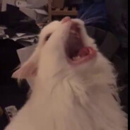 Leem