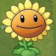 P drilla - steam id 76561199695307234