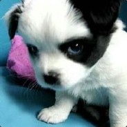 女人丶的世界我不懂