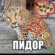 анальный владыка