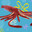 Squidsly