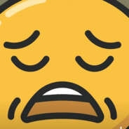 企鹅在故乡围观