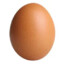 egg