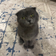 full focus || QASSOB