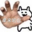 青我钢门会上影