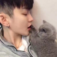 叶某想给你一个家