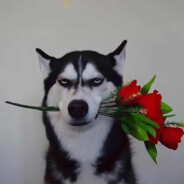 三拳打碎我的大圣梦