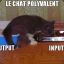 PetitPied