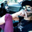 Hollywolf_Azra