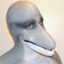 sander.kislerr