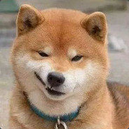 摆又摆不烂 躺又躺不平