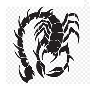 Scorpion