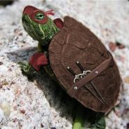 Ninja Turtle