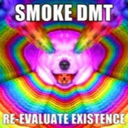 DMT